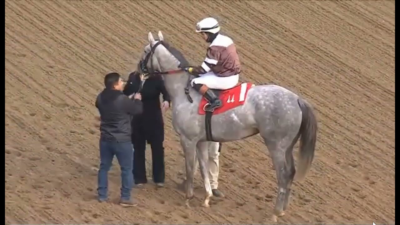 R8 ЧЕРЧИЛЛЬ-ДАУНС 27 НОЯБРЯ 2025 ГОДА