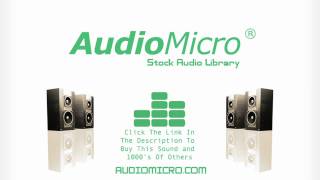Royalty Free scratch 11 Sound Effect