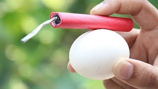 EXPERIMENT : Eggs vs Firecracker | DIY