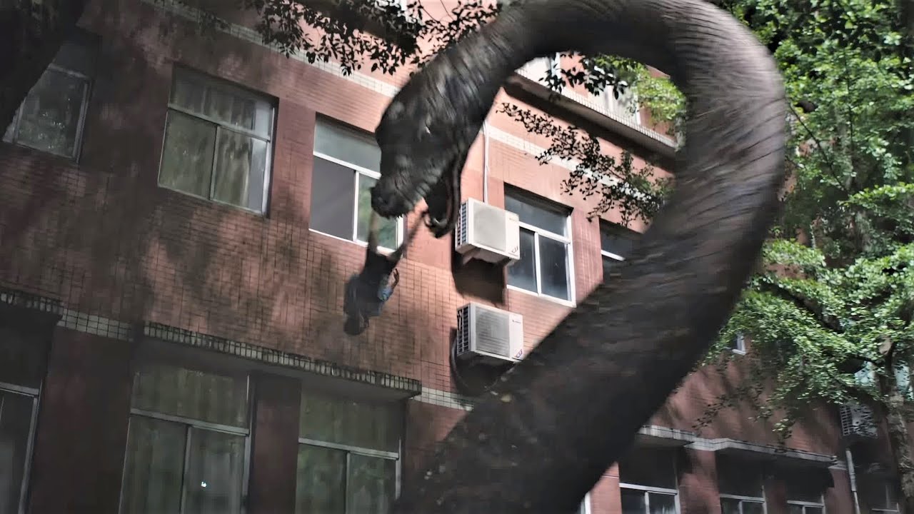 女孩被情敌推出窗外，被大蛇吃了！【巨蛇闯女校 Rising Boas in a Girl's School】|驚悚 災難 |【電影派對】