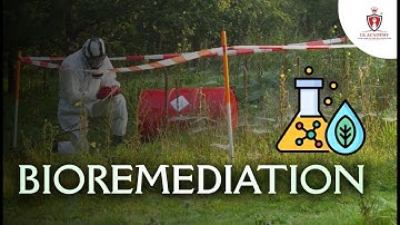 Bioremediation Explained | Types, Process & Examples | Environment Topic for UPSC & SSC Exams