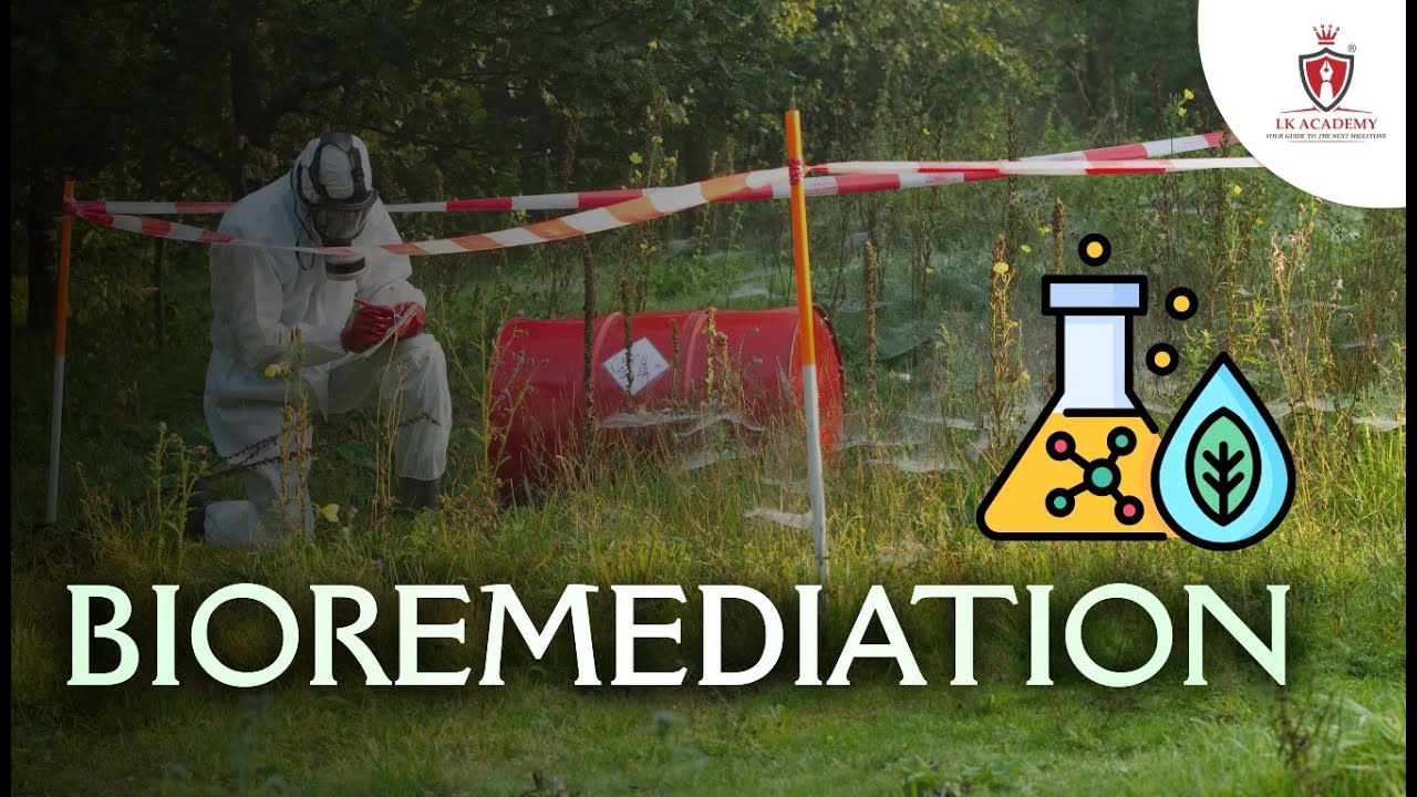 Bioremediation Explained | Types, Process & Examples | Environment Topic for UPSC & SSC Exams