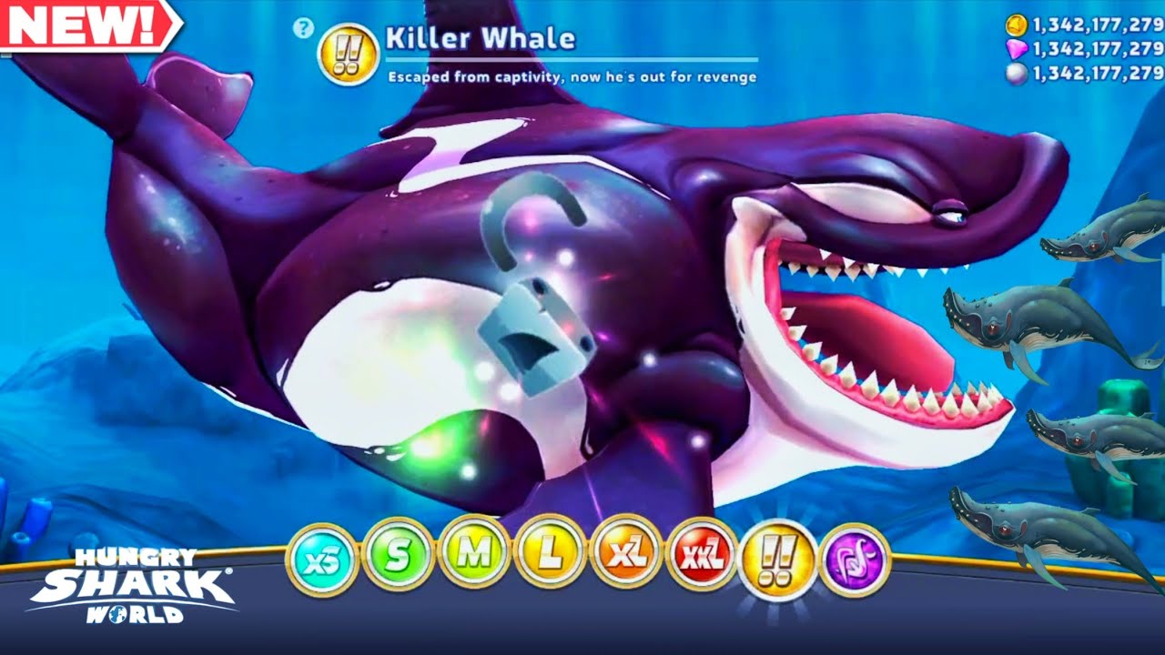 Killer Whale Hungry Shark World - Unlock New Shark Killer Whale Hungry Shark Gameplay 