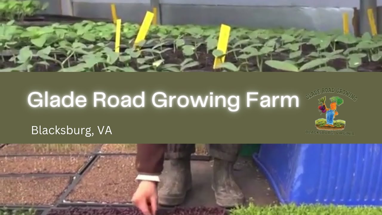 2024 Glade Road Growing Farm Share YouTube