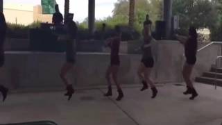 LTA Florida Showcase Profile