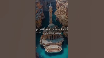 #اكسبلور #دويتو #المصحف #لايك #ترند #viral #سورة_البقرة #يوم_الجمعة #صباح_الخير #راحة_نفسية #قرآن