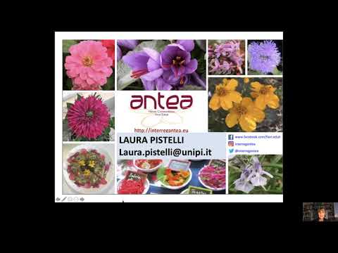 Video: Una Guida Ai Fiori Commestibili