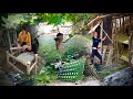 FULL VIDEO 4K 60 days Asian girl alone camping in the wilderness, building a bamboo house