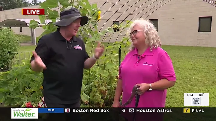 Scattered Showers and Thunderstorms--8/12/25