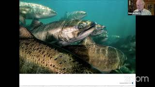 I Am Salmon - Poem read by Duncan Berry