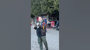 Горіла сосна палала у білоруському виконнанні Truskavetstravel Dance Music трускавець Like 