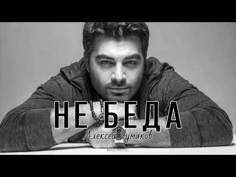 Алексей Чумаков - Не Беда | Премьера Песни 2023