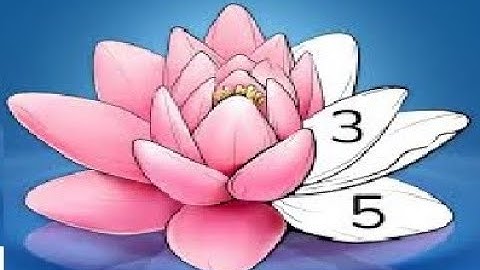 Zen Color -( Color By Number) 1 to 5 Pak Gamer Gameplay