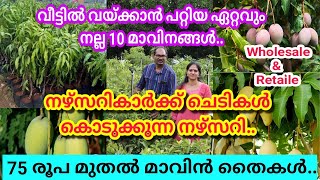 75 രൂപ മുതൽ മാവിൻ തൈകൾ / നഴ്സറികാർക്ക് ചെടികൾ കൊടുക്കുന്ന നഴ്സറി / ഏറ്റവും നല്ല 10 മാവുകൾ #nursery