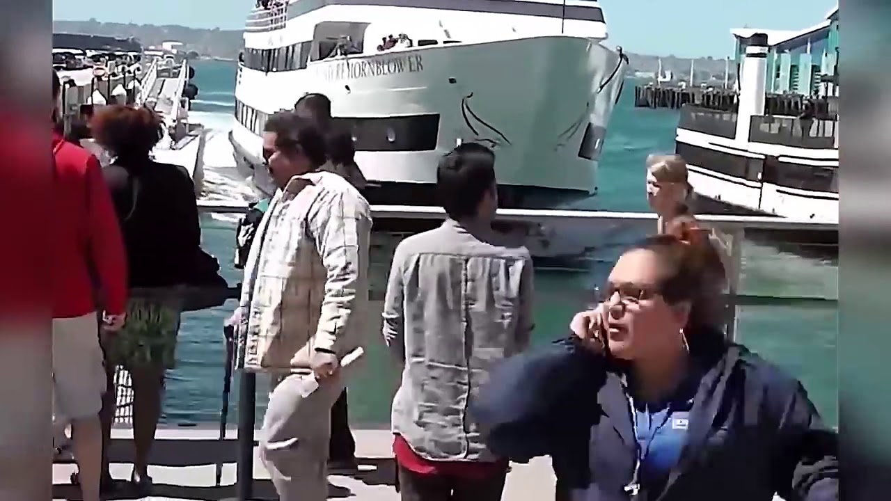 yacht fail videos