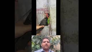 Easy Trick for Perfect Wall Cutting – Clean & Fast Results!