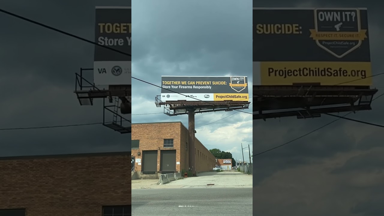 SUICIDE PREVENTION BS | Pessimistic Philosophy Explained