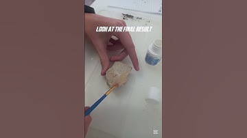Fossil leaf preparing #preparation #dinosaur #fossils #b72