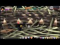 Aqw Ninja Class Testing