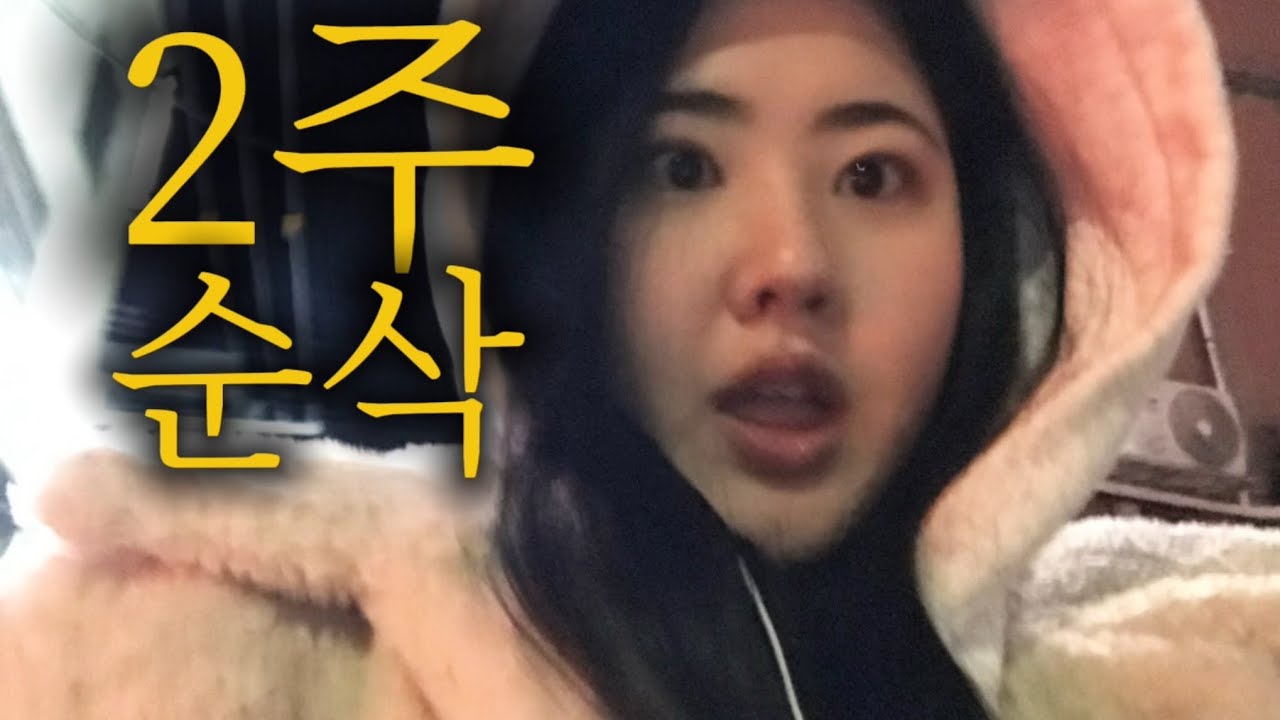 [일상 vlog] 먹고 또 먹고 빵 잔뜩 사서 지디 팸미팅 가는 일상