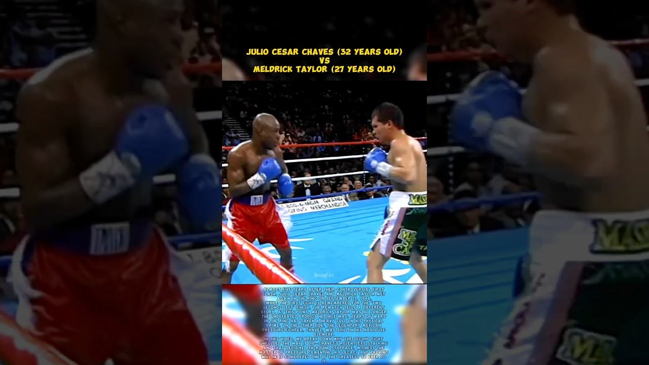 Chavez vs. Taylor II: The Bitter Rematch🥊🔥 #boxing #shorts #new