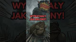 Makabryczne odkrycie z 2005 roku. Eksplodujące płazy