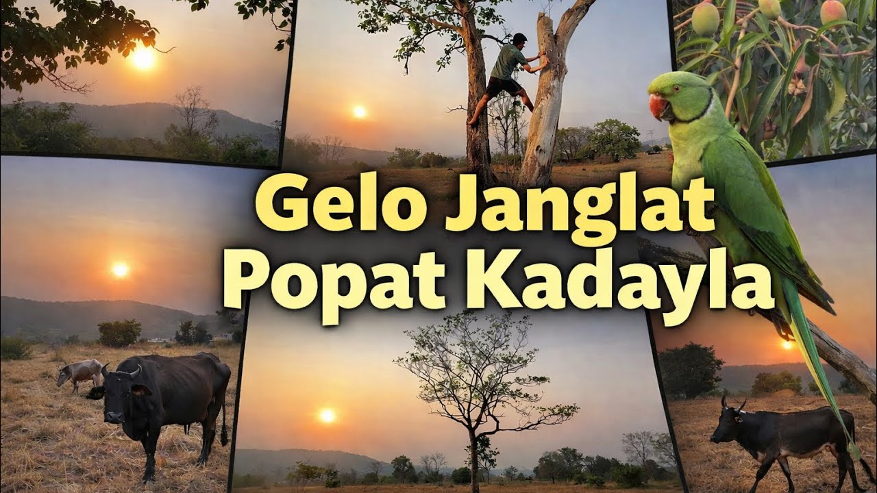 Real Jungle Vlog: Popat Shodhatana Kay Zala? #konkan #viralvideo #sanil10