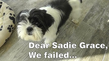 A Love Letter To Our Foster Dog | Foster Fail