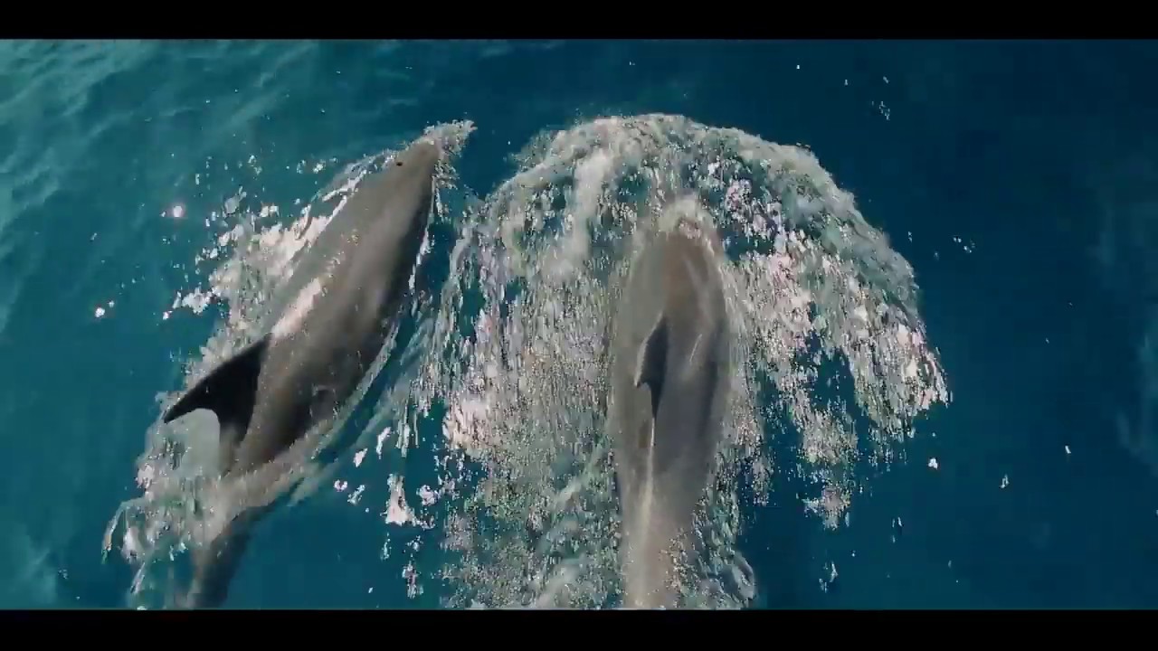 Тенерифе, Испания