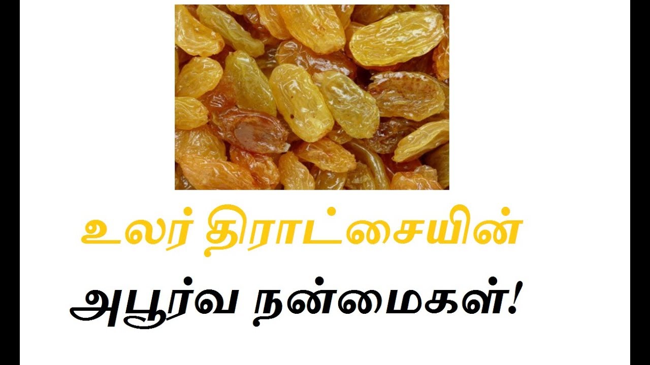 உலர் திராட்சையின் அபூர்வ நன்மைகள் பற்றி தெரியுமா? Benefits of Dry Grapes in Tamil YouTube