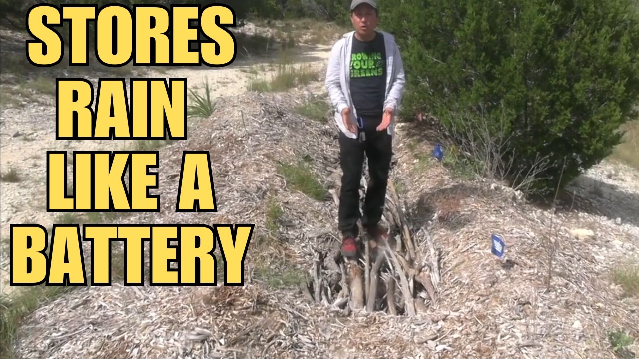 Этот гениальный фермерский трюк сохраняет дождь как аккумулятор