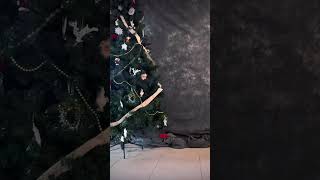 Christmas decorations ideas #christmas #christianmusic #christmastree #christmasdecor #miamistudio