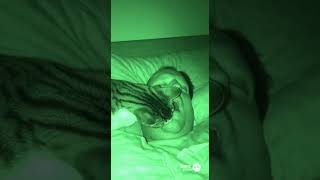 Кот кладет мышку в рот! 🐭😺