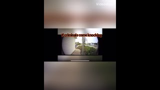 Split Second Episode 5 Doggie Dog of Doom