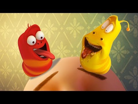 LARVA - THE HUGE HUMAN | Cartoons | Comics | LARVA Official