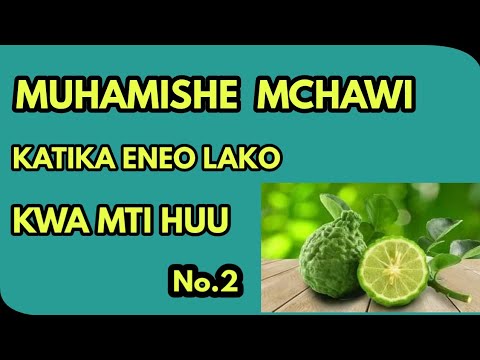 FAIDA YA MTI WA LIMAO KATIA TIBA No 2