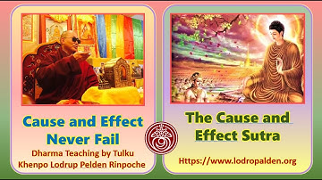"Cause and Effect Never Fails" and "The Cause and Effect Sutra"