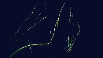 HD VJ Loop Visual for Resolume, Serato Video, VDMX, MixEmergency, Arkaos