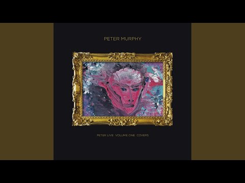 Peter Murphy – Peter Live - Volume 1 - Covers (2024) | Album