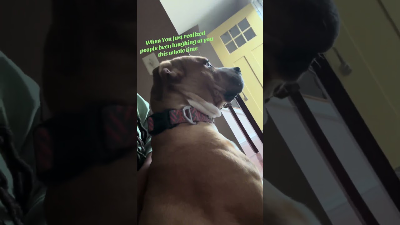 😭😂Laugh ON !!!!!! 