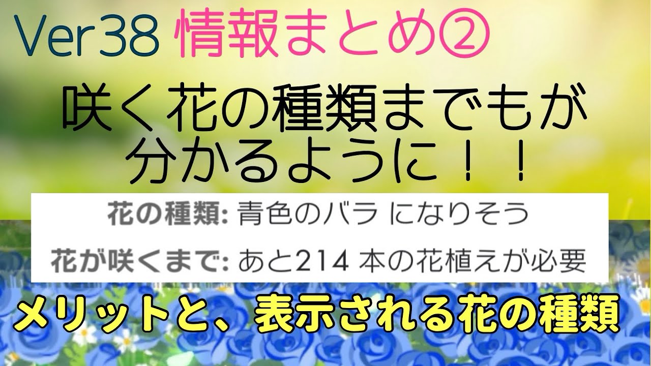Ver38まとめ！運営が公開していない情報をまとめました②【ピクミン 