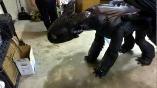 How to wear Toothless