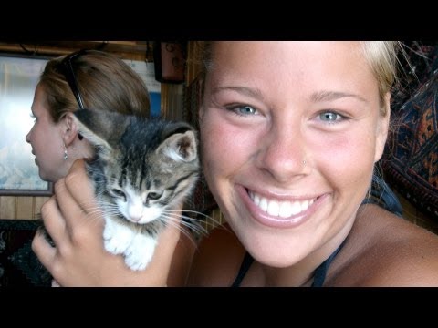 12 Reasons Why Cat People Are Crazy Awesome