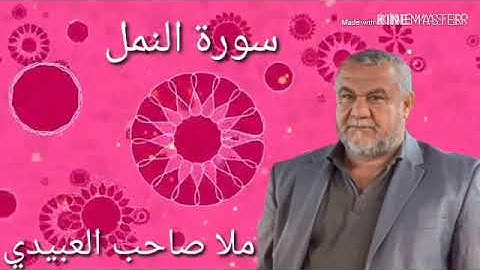 سورة النمل =هديتى الى ارواح امواتكم اخوانى واخواتى الاطهار=ملا صاحب العبيدى
