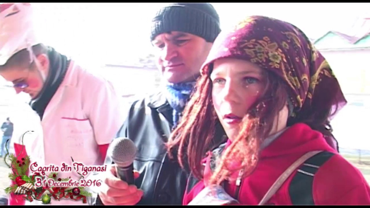 Caprita din Tiganasi 2016