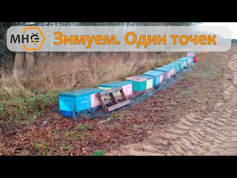 Зимовка одного из точков.