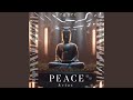 Peace buddha the reality