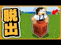 体がツボの中に入っちゃった!?急いでツボから脱出しろ!【まいくら・Minecraft】