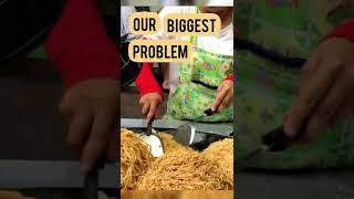 Our Biggest Problem Is - Dr Morse quote of the day with Raw and Well