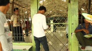 Dokumenter Yayasan Galuh (Gravity Production)